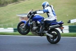 110810cadwell