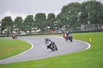 230810cadwell