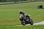230810cadwell