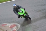 230810cadwell