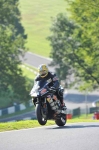 310810cadwell