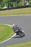 310810cadwell