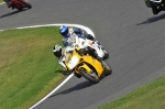 INTER GREEN/YELLOW BIKES