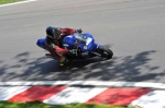 NOVICE BLUE/WHITE BIKES