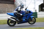 NOVICE BLUE/WHITE BIKES