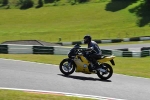 NOVICE GREEN/YELLOW BIKES