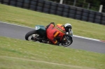 FAST GREEN/YELLOW BIKES