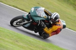 FAST GREEN/YELLOW BIKES