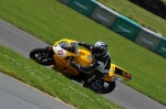 INTER GREEN/YELLOW BIKES