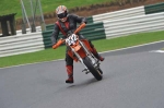 EVENING NOVICE RED/ORANGE BIKES