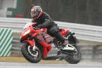 NOVICE RED/ORANGE BIKES