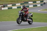 NOVICE BLACK/SILVER BIKES