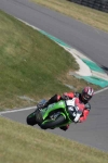 INTER GREEN/YELLOW BIKES