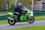 EVENING NOVICE GREEN/YELLOW BIKES