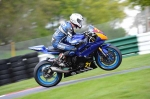 110510cadwell