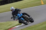 A GROUP BLUE/WHITE BIKES