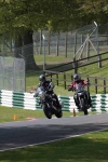 130510cadwell