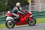 130510cadwell