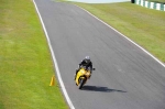 B GROUP GREEN/YELLOW  BIKES