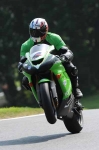 INTER GREEN/YELLOW BIKES