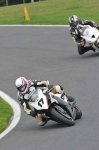 041010cadwell