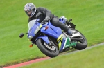 C GROUP BLUE/WHITE  BIKES