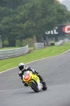 FAST GREEN/YELLOW BIKES