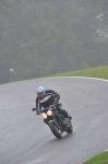 290910cadwell
