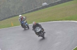 290910cadwell