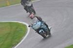 A GROUP BLUE/WHITE BIKES