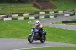 A GROUP BLUE/WHITE BIKES