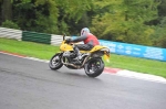 B GROUP GREEN/YELLOW  BIKES
