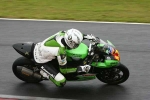 FAST GREEN/YELLOW BIKES