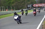 NOVICE BLUE/WHITE BIKES