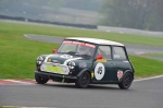Green/Yellow Cars