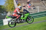 INTER GREEN/YELLOW BIKES