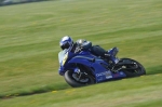 FAST BLUE/WHITE BIKES