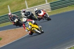 INTER GREEN/YELLOW BIKES