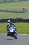 FAST BLUE/WHITE BIKES