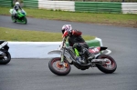 anglesey;brands-hatch;cadwell-park;croft;digital-images;donington-park;enduro;enduro-digital-images;event;event-digital-images;eventdigitalimages;mallory-park;no-limits;oulton-park;peter-wileman-photography;racing;racing-digital-images;silverstone;snetterton;trackday;trackday-digital-images;trackday-photos;vintage;vmcc-banbury-run;welsh-2-day-enduro