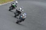 anglesey;brands-hatch;cadwell-park;croft;digital-images;donington-park;enduro;enduro-digital-images;event;event-digital-images;eventdigitalimages;mallory-park;no-limits;oulton-park;peter-wileman-photography;racing;racing-digital-images;silverstone;snetterton;trackday;trackday-digital-images;trackday-photos;vintage;vmcc-banbury-run;welsh-2-day-enduro