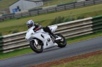 anglesey;brands-hatch;cadwell-park;croft;digital-images;donington-park;enduro;enduro-digital-images;event;event-digital-images;eventdigitalimages;mallory-park;no-limits;oulton-park;peter-wileman-photography;racing;racing-digital-images;silverstone;snetterton;trackday;trackday-digital-images;trackday-photos;vintage;vmcc-banbury-run;welsh-2-day-enduro