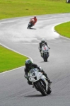 anglesey;brands-hatch;cadwell-park;croft;digital-images;donington-park;enduro;enduro-digital-images;event;event-digital-images;eventdigitalimages;mallory-park;no-limits;oulton-park;peter-wileman-photography;racing;racing-digital-images;silverstone;snetterton;trackday;trackday-digital-images;trackday-photos;vintage;vmcc-banbury-run;welsh-2-day-enduro
