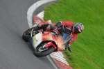 anglesey;brands-hatch;cadwell-park;croft;digital-images;donington-park;enduro;enduro-digital-images;event;event-digital-images;eventdigitalimages;mallory-park;no-limits;oulton-park;peter-wileman-photography;racing;racing-digital-images;silverstone;snetterton;trackday;trackday-digital-images;trackday-photos;vintage;vmcc-banbury-run;welsh-2-day-enduro
