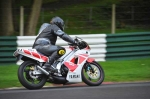 anglesey;brands-hatch;cadwell-park;croft;digital-images;donington-park;enduro;enduro-digital-images;event;event-digital-images;eventdigitalimages;mallory-park;no-limits;oulton-park;peter-wileman-photography;racing;racing-digital-images;silverstone;snetterton;trackday;trackday-digital-images;trackday-photos;vintage;vmcc-banbury-run;welsh-2-day-enduro