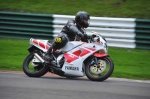 anglesey;brands-hatch;cadwell-park;croft;digital-images;donington-park;enduro;enduro-digital-images;event;event-digital-images;eventdigitalimages;mallory-park;no-limits;oulton-park;peter-wileman-photography;racing;racing-digital-images;silverstone;snetterton;trackday;trackday-digital-images;trackday-photos;vintage;vmcc-banbury-run;welsh-2-day-enduro