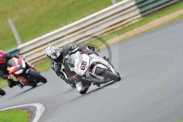 Mallory park Leicestershire;Mallory park photographs;Motorcycle action photographs;event digital images;eventdigitalimages;mallory park;no limits trackday;peter wileman photography;trackday;trackday digital images;trackday photos