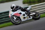 Mallory-park-Leicestershire;Mallory-park-photographs;Motorcycle-action-photographs;event-digital-images;eventdigitalimages;mallory-park;no-limits-trackday;peter-wileman-photography;trackday;trackday-digital-images;trackday-photos