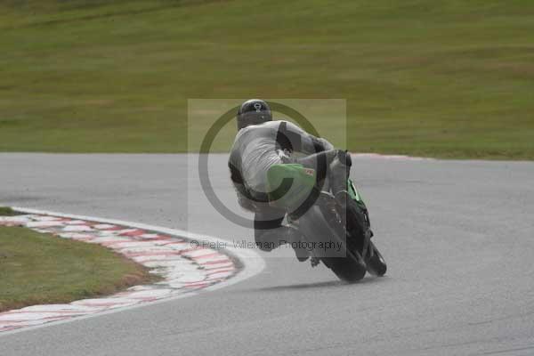 Motorcycle action photographs;Trackday digital images;event digital images;eventdigitalimages;no limits trackday;oulton park;oulton park circuit cheshire;oulton park photographs;peter wileman photography;trackday;trackday photos