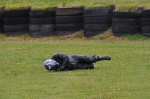 Motorcycle-action-photographs;Trackday-digital-images;Ty-croes;anglesey;anglesey-photographs;event-digital-images;eventdigitalimages;no-limits-trackday;peter-wileman-photography;trac-mon;trackday;trackday-photos